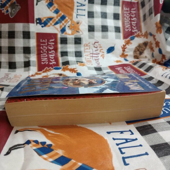 Sierra by Connie Mason 1995 - Picture 7 of 16